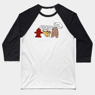 Cat and Sloth Fire Hydrant Baseball T-Shirt